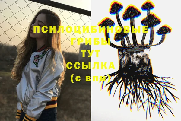 экстази Бородино